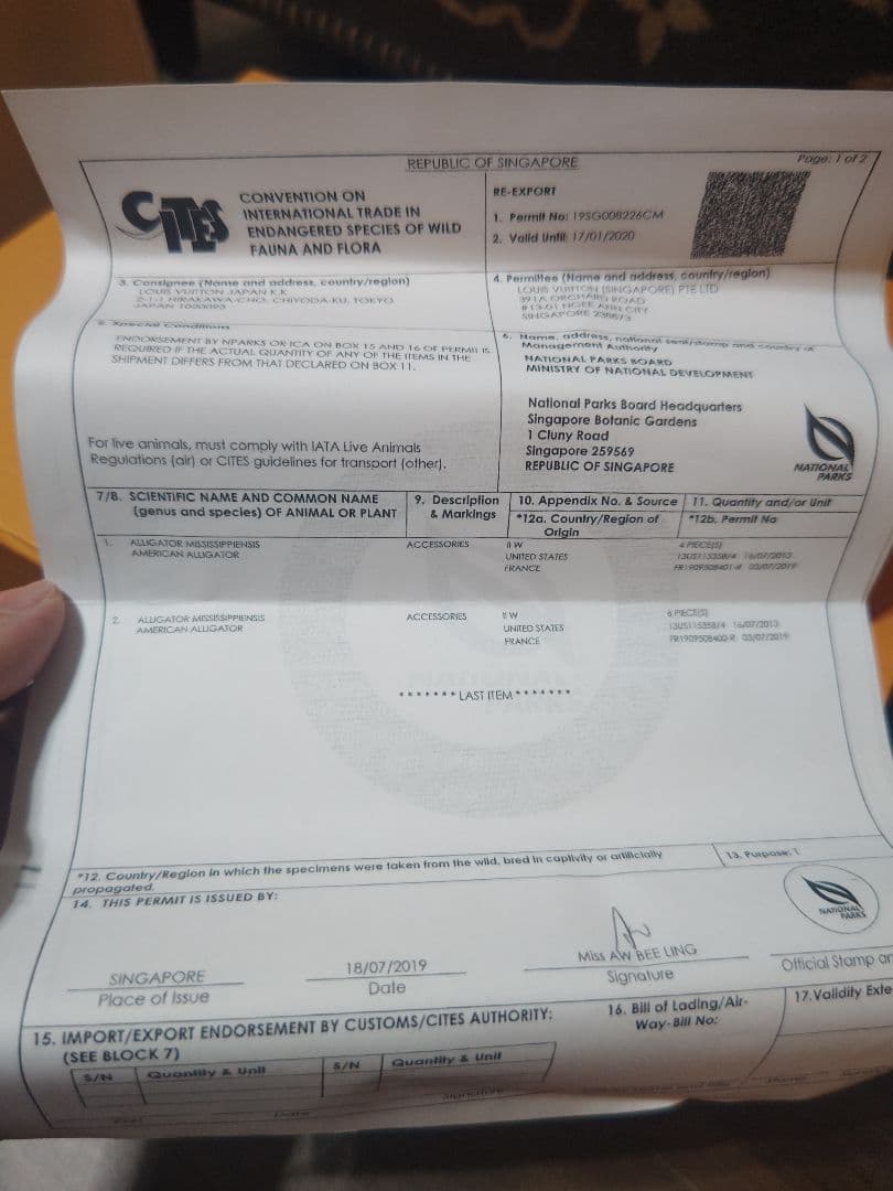 超希少　ヴィヴィエンヌ　アリゲーター