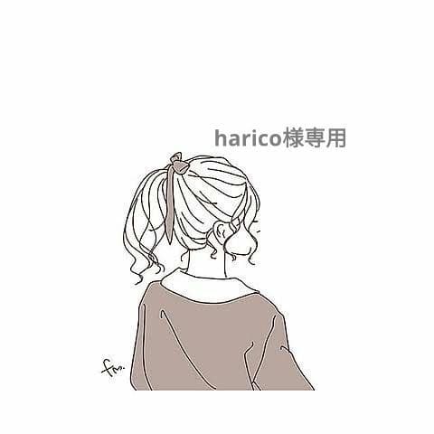 小物 harico