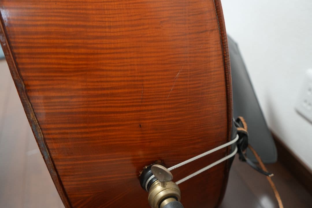 オール単板 GLIGA Gems Ⅰ Gamba Shape Flat Back