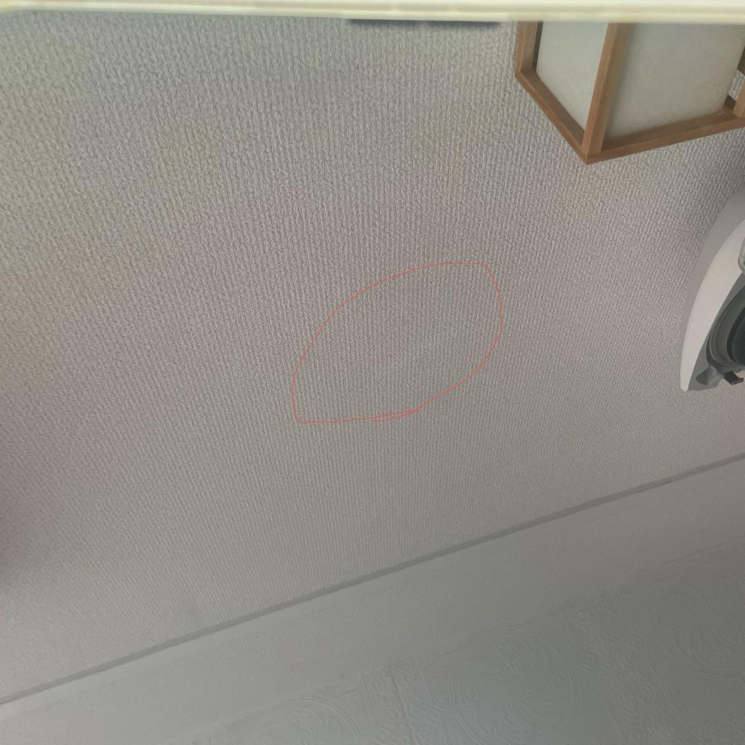 iPad Pro 第4世代 12.9インチ 256GB