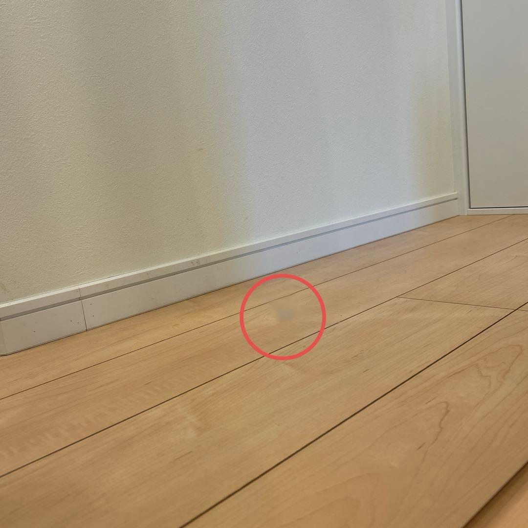 割れない鏡　リフェクスミラー　85×170cm【たのめる便】