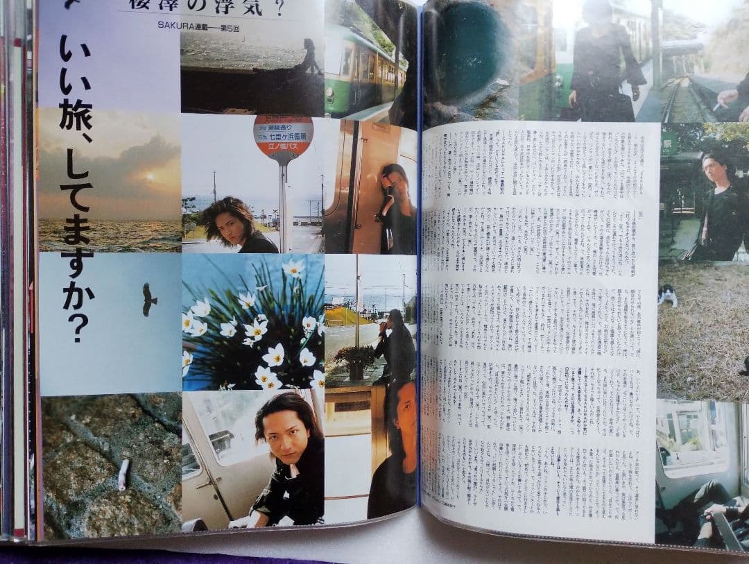 ZIGZO 切り抜き ファイル セット