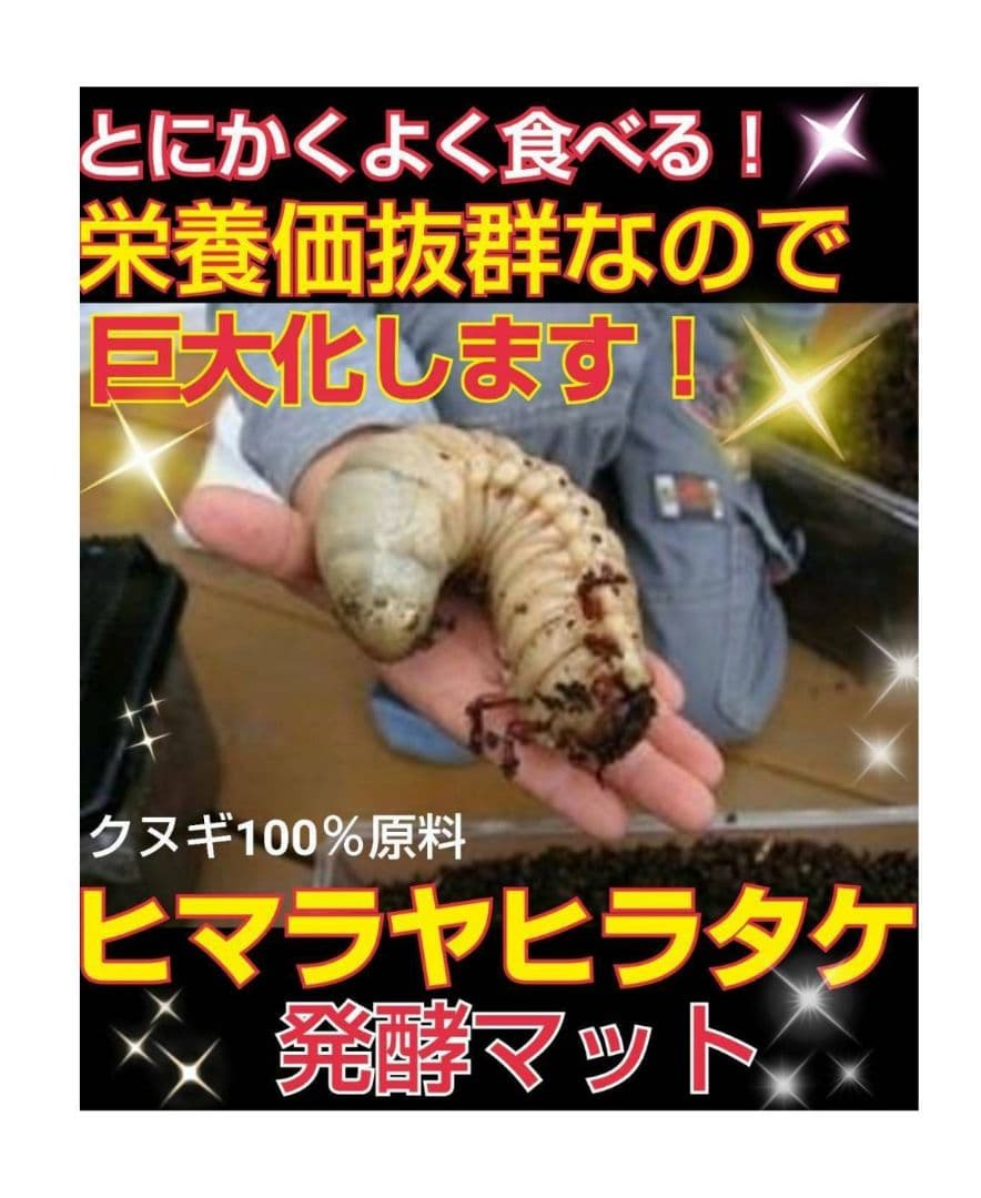 カブトムシ幼虫が大きくなる！発酵マット【たっぷり6袋】雑虫、コバエが湧かない！