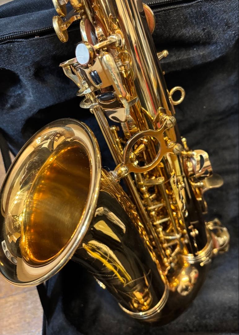 アルトサックス 初心者入門セット/ゴールド(送料込み)