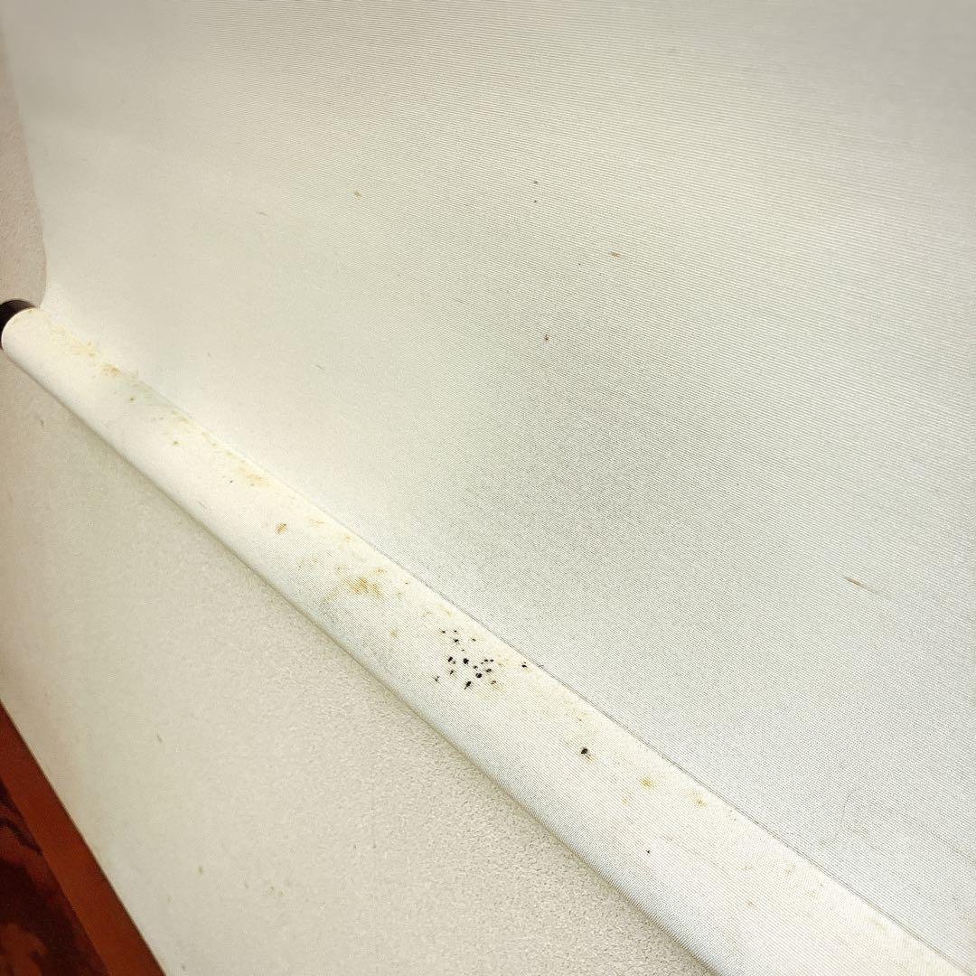 掛け軸　一期一会