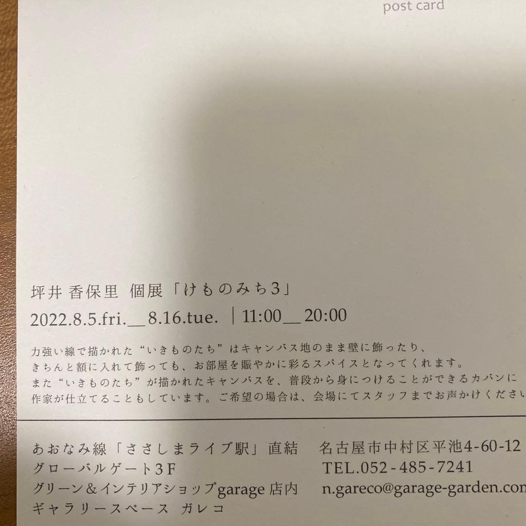 坪井香保里＊2022年・個展・けものみち3・猫