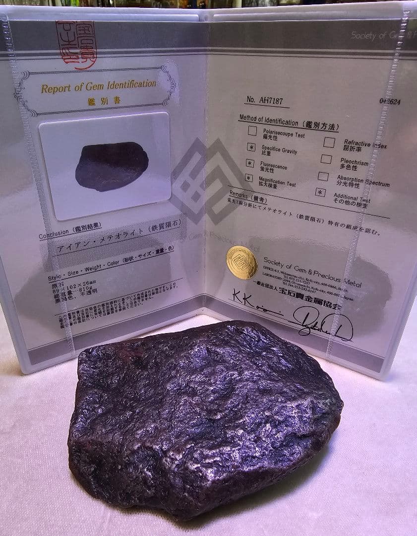 ⑧　隕石　メテオライト　カンポデルシエロ