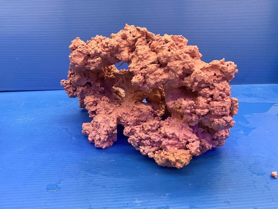 人工ライブロック　No.41. 無害化処理済