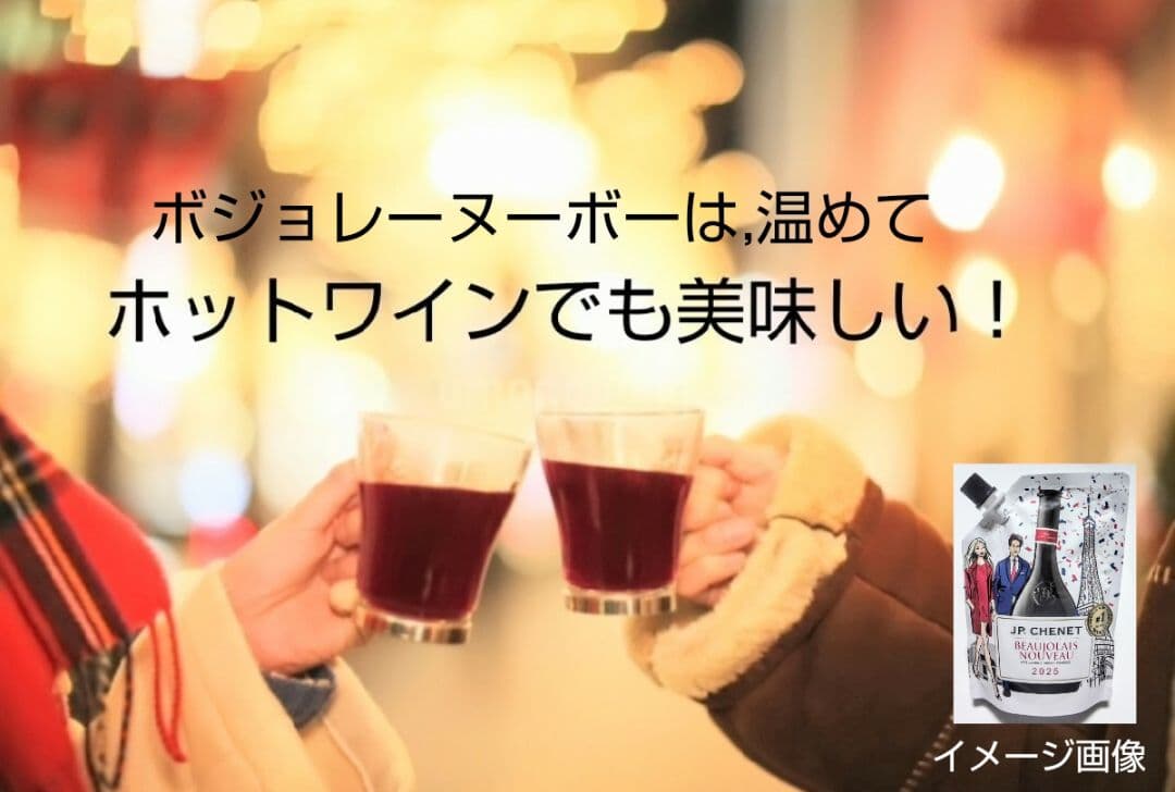 大人気の赤ワイン(2025年版 ボジョレーヌーボーイージーパック)20個新品激安