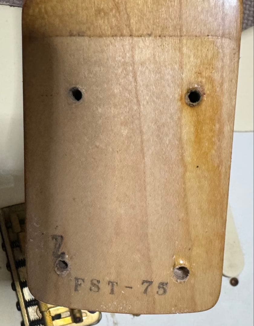 ネ*－様 90's FERNANDES FST-75 F.G.Iピックアップ&5