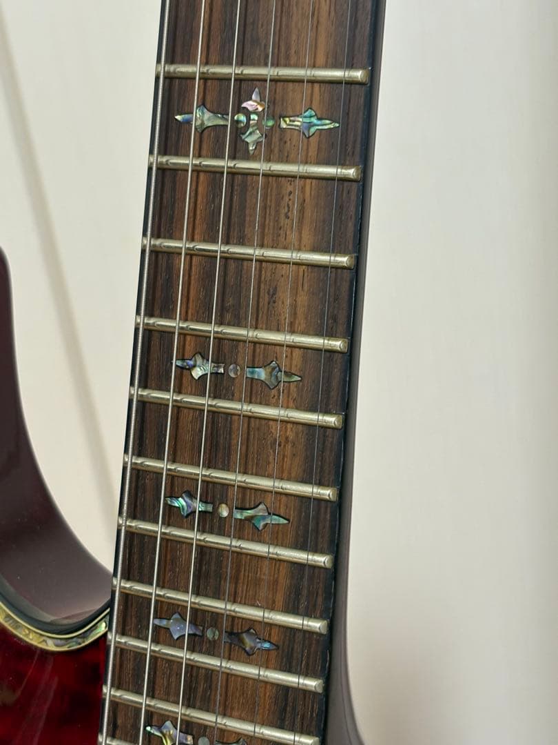 SCHECTER HELLRAISER シェクター ヘルレイザー