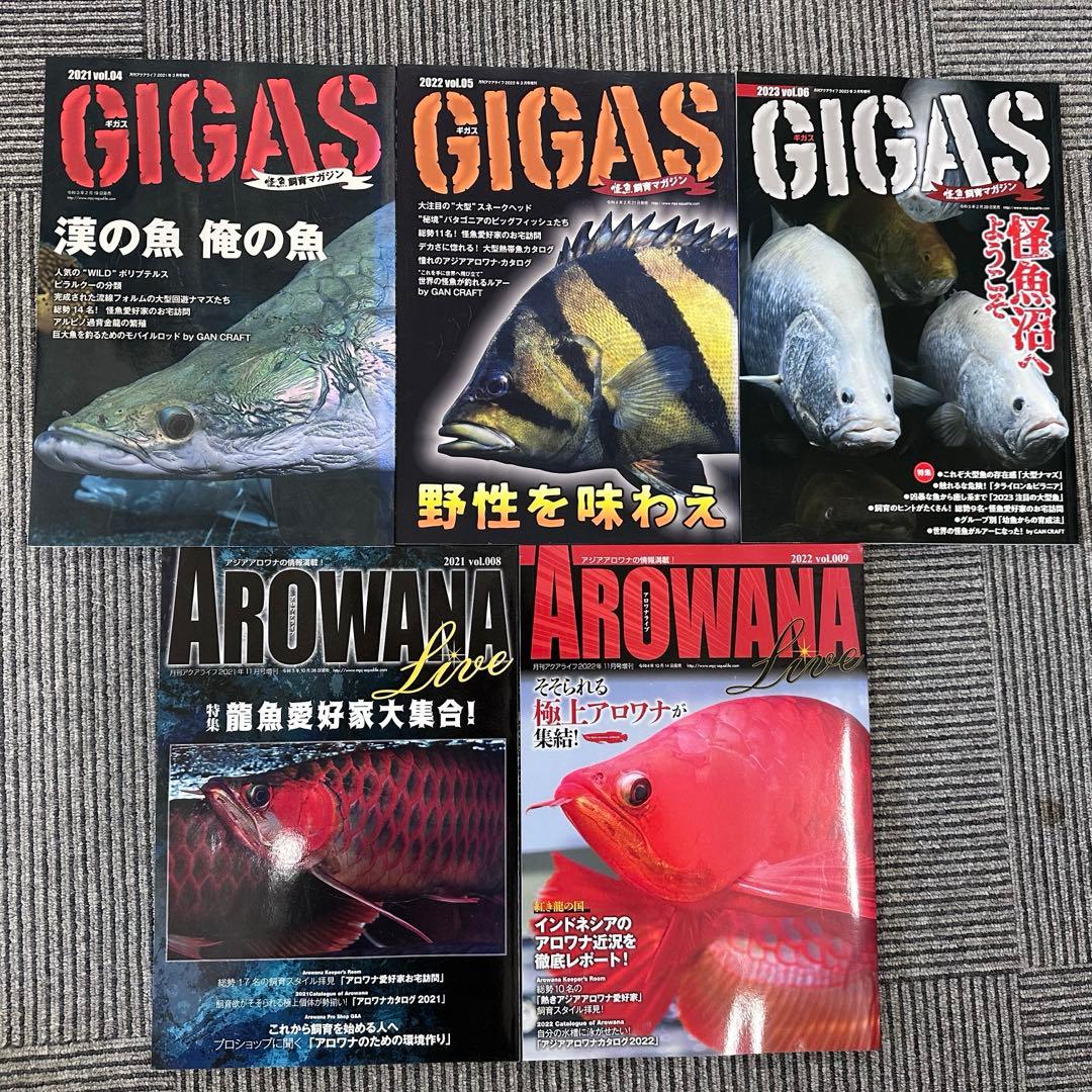 AROWANIA-アロワナグラフィック