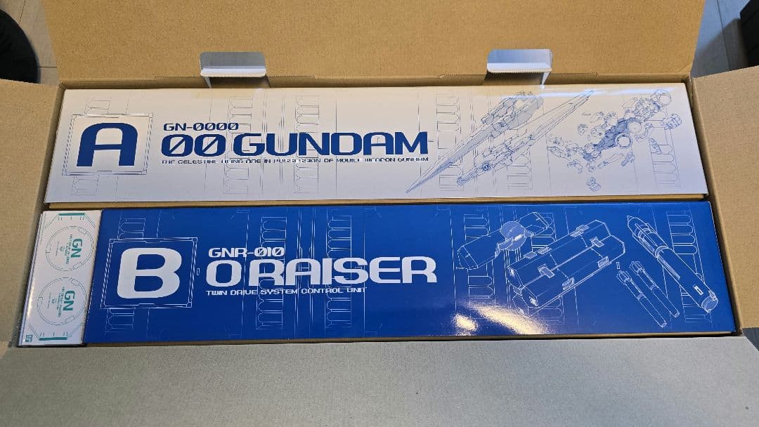 PG 00 RAISER ガンプラ 1/100 ダブルオーライザー