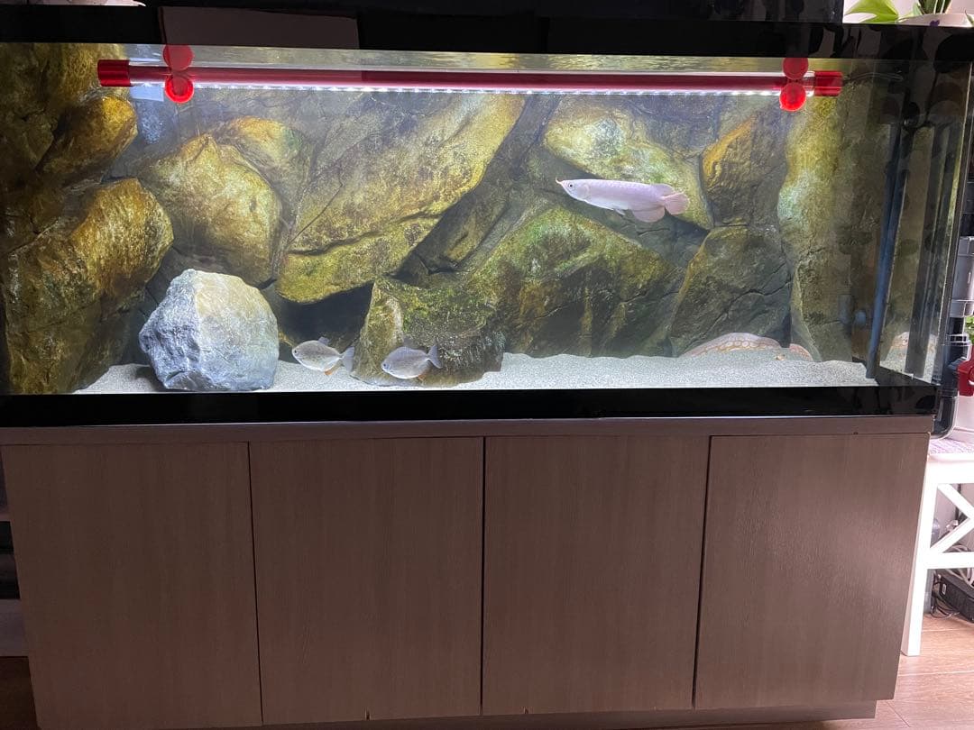 水槽セット 150x60x60 引き取りのみ