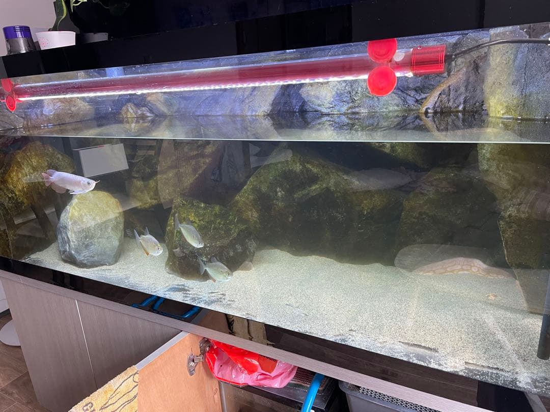 水槽セット 150x60x60 引き取りのみ