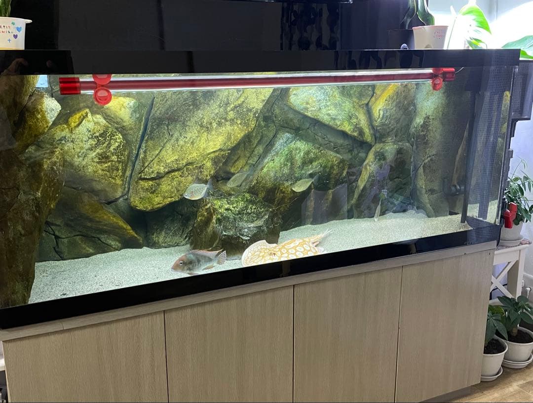 水槽セット 150x60x60 引き取りのみ