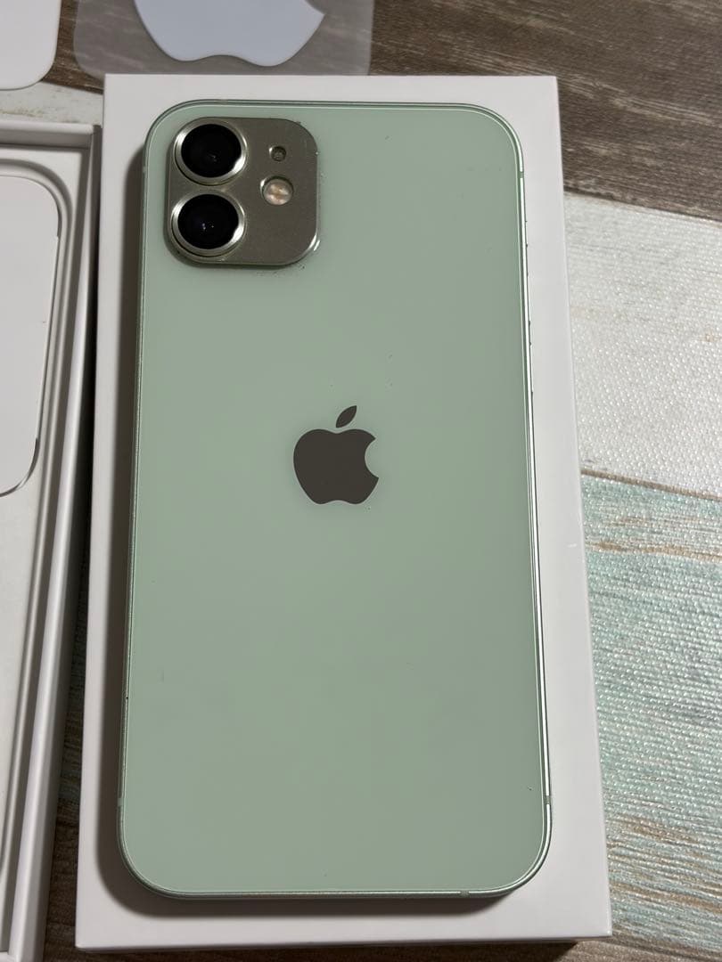 Apple iPhone 12 128GBミントグリーン UAGケースとポーチ