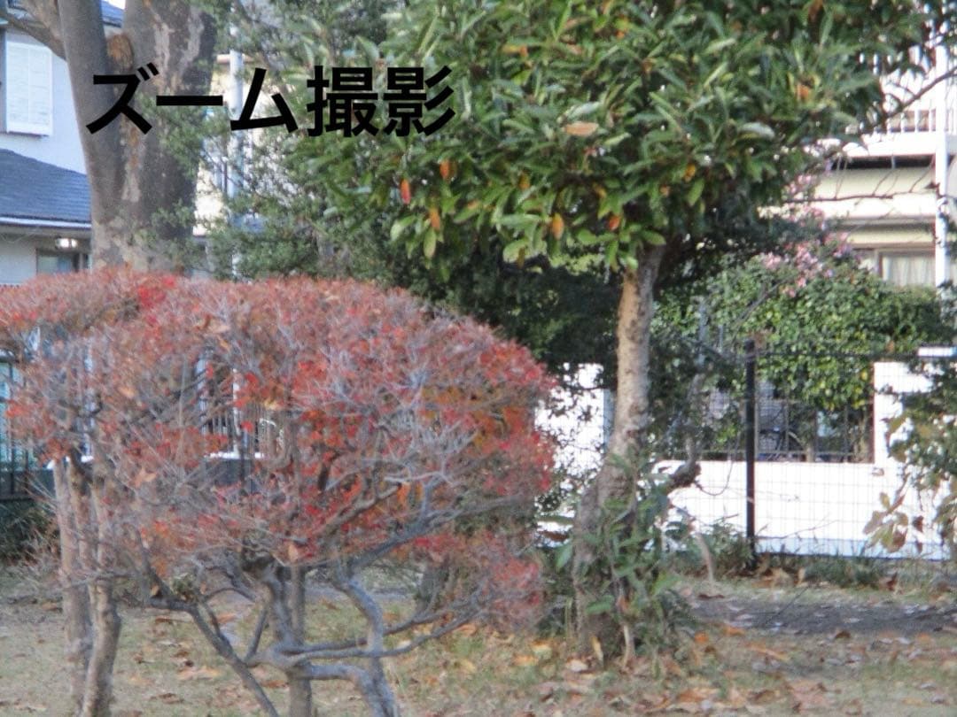 実写⭕️訳アリ【動作確認済】Canon IXY 200 PC2333 デジカメ