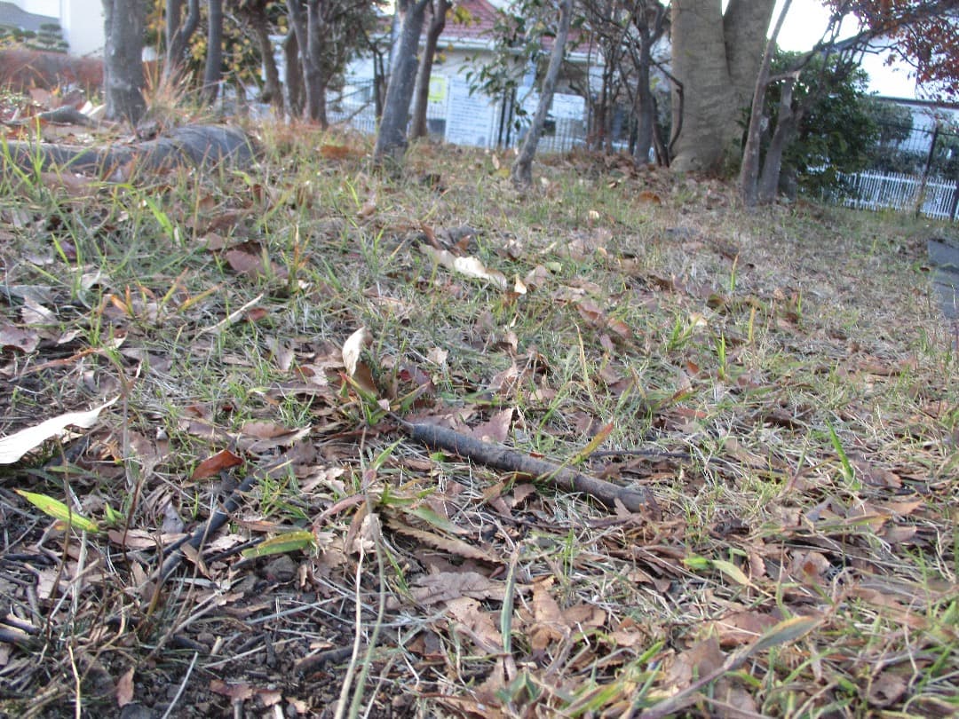 実写⭕️訳アリ【動作確認済】Canon IXY 200 PC2333 デジカメ