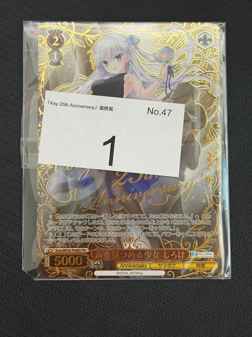 CXチャレンジ Key PR＋ 海を見つめる少女 しろは 冬の到来しろは&うみ