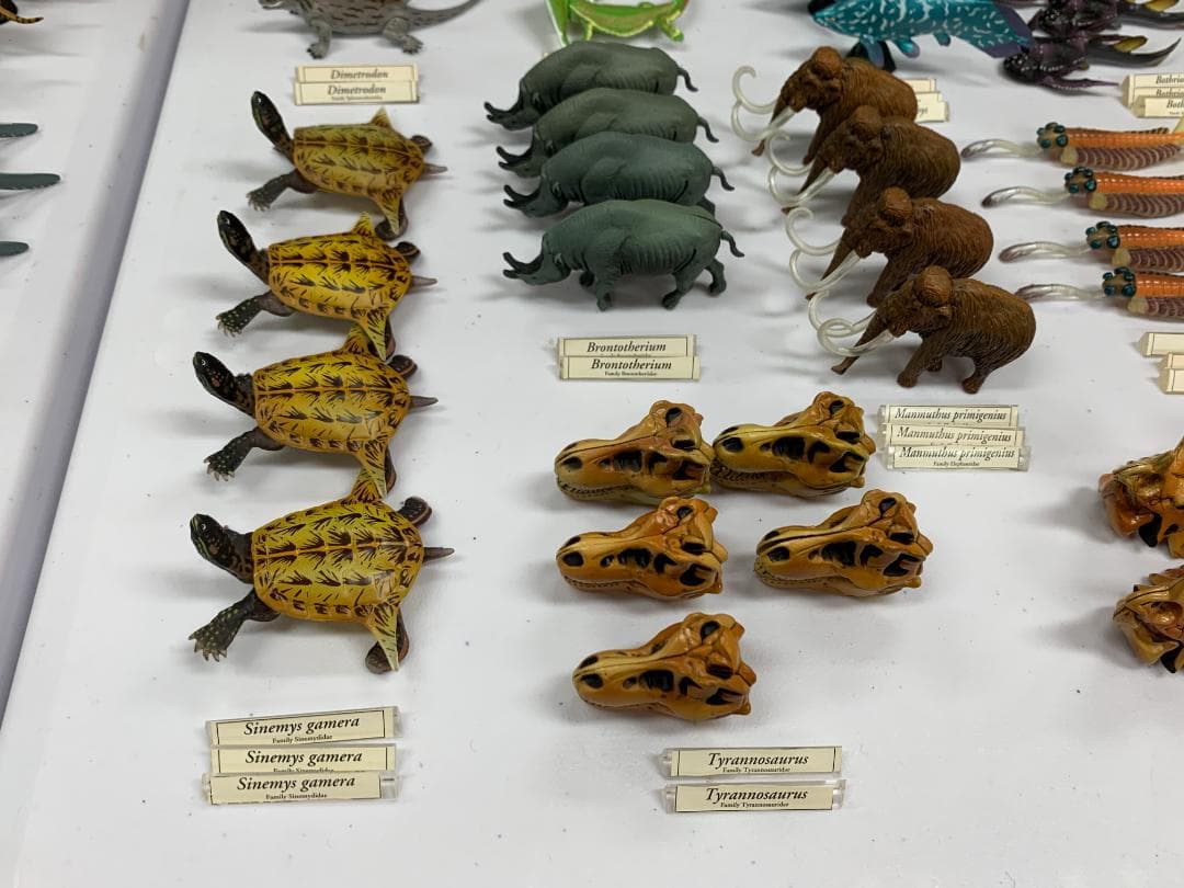 チョコラザウルス 第1、第2、第3、第4、リペイントシリーズ (262体)