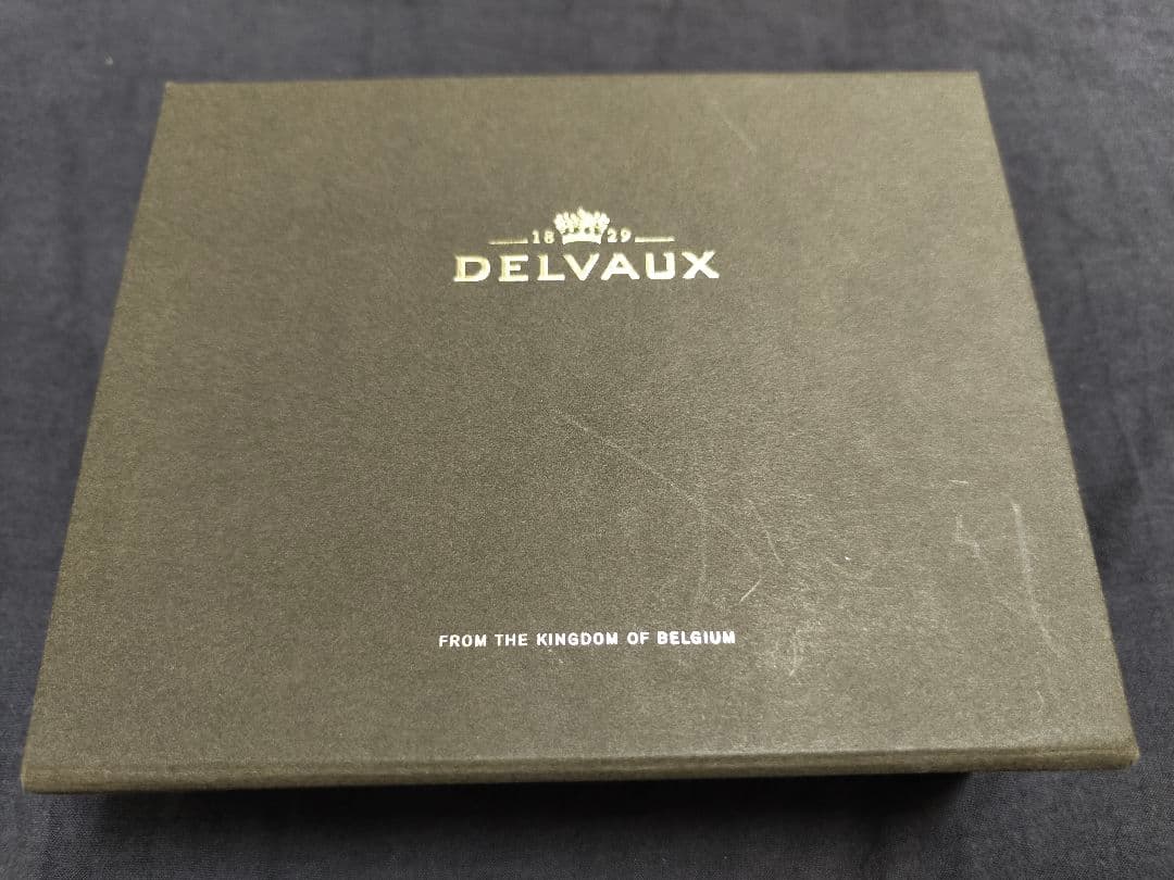 DELVAUX •カードケース Pin D Multifonctions