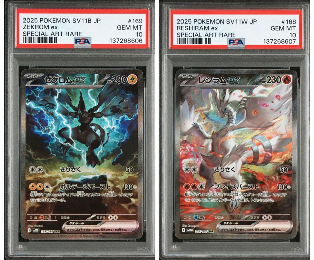 【PSA10】ゼクロムex レシラムex SAR 2連番