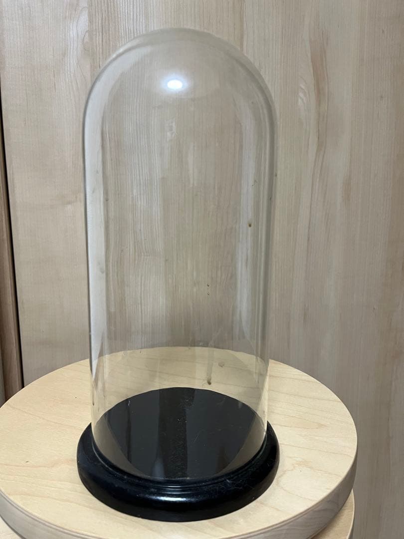 フランスアンティーク　ガラスドーム