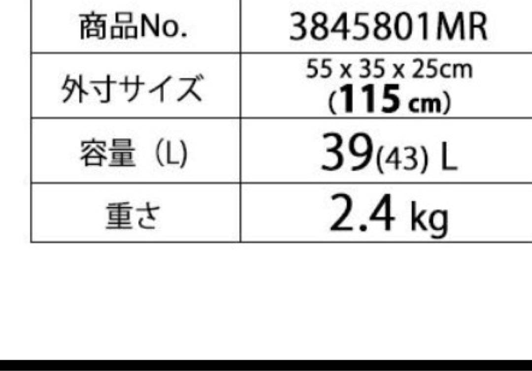 新品DELSEY デルセー 軽量スーツケース39L+4L機内持込Sサイズ2-3泊