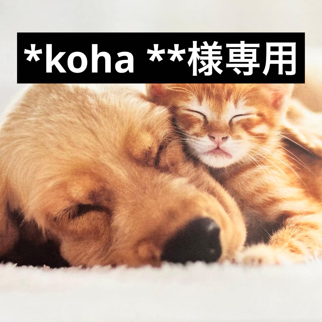 その他 *koha **