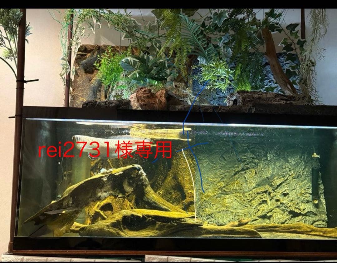 オーバーフロー濾過水セット(アクリル・120cm)　LED照明付(直接受渡歓迎)