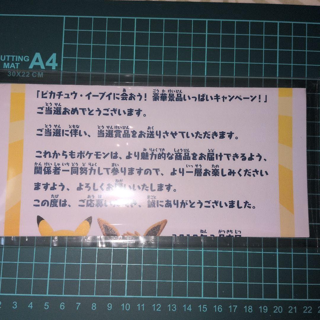 のの　あばれる君　美品　当選通知書付き