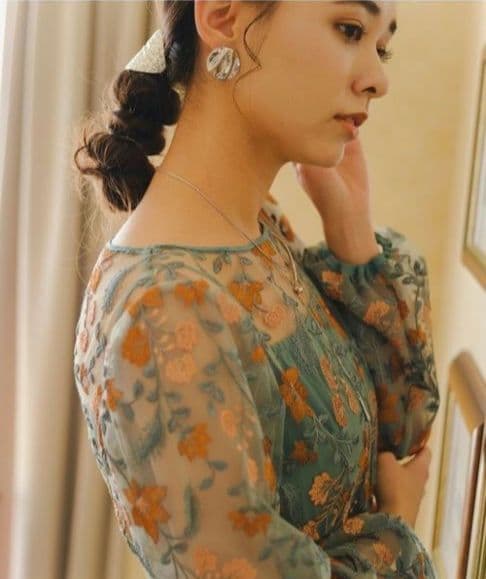 美品 Kastane カスタネ embroidery organdy dress