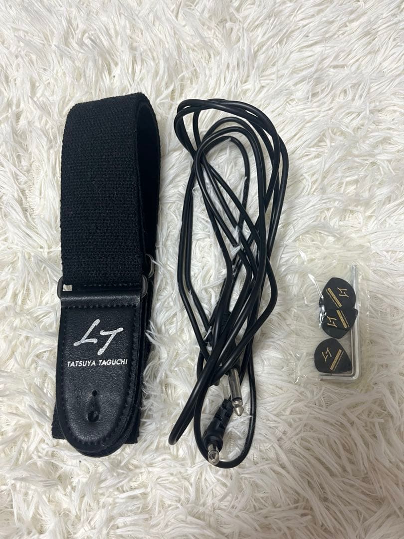 【初心者さんにおすすめ】ノンラビ 田口達也 オリジナルギター エレキギター