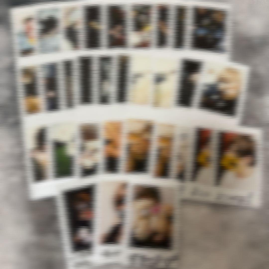 ふぇにくろ チェキ