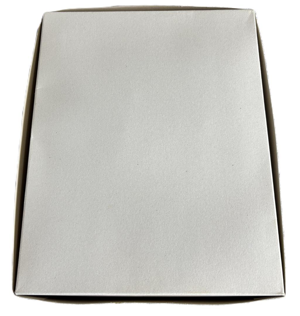 MG 1/100 RX-93 νGUNDAM ニューガンダム 内袋未開封 未組立