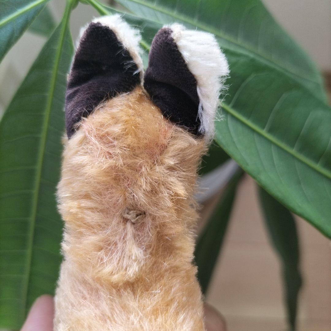 ビンテージ　シュタイフ　きつね　XORRY 小さいサイズ