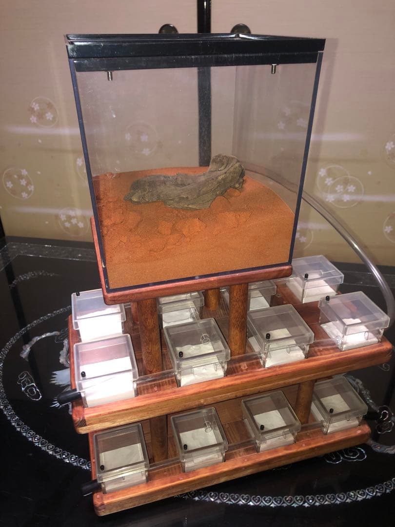 アリ　蟻　飼育ケース　巣　家　手作り