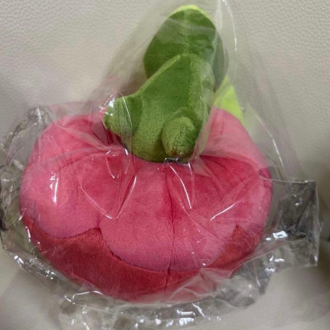 ポケモン 海外限定 カジッチュ ぬいぐるみ 果然一派