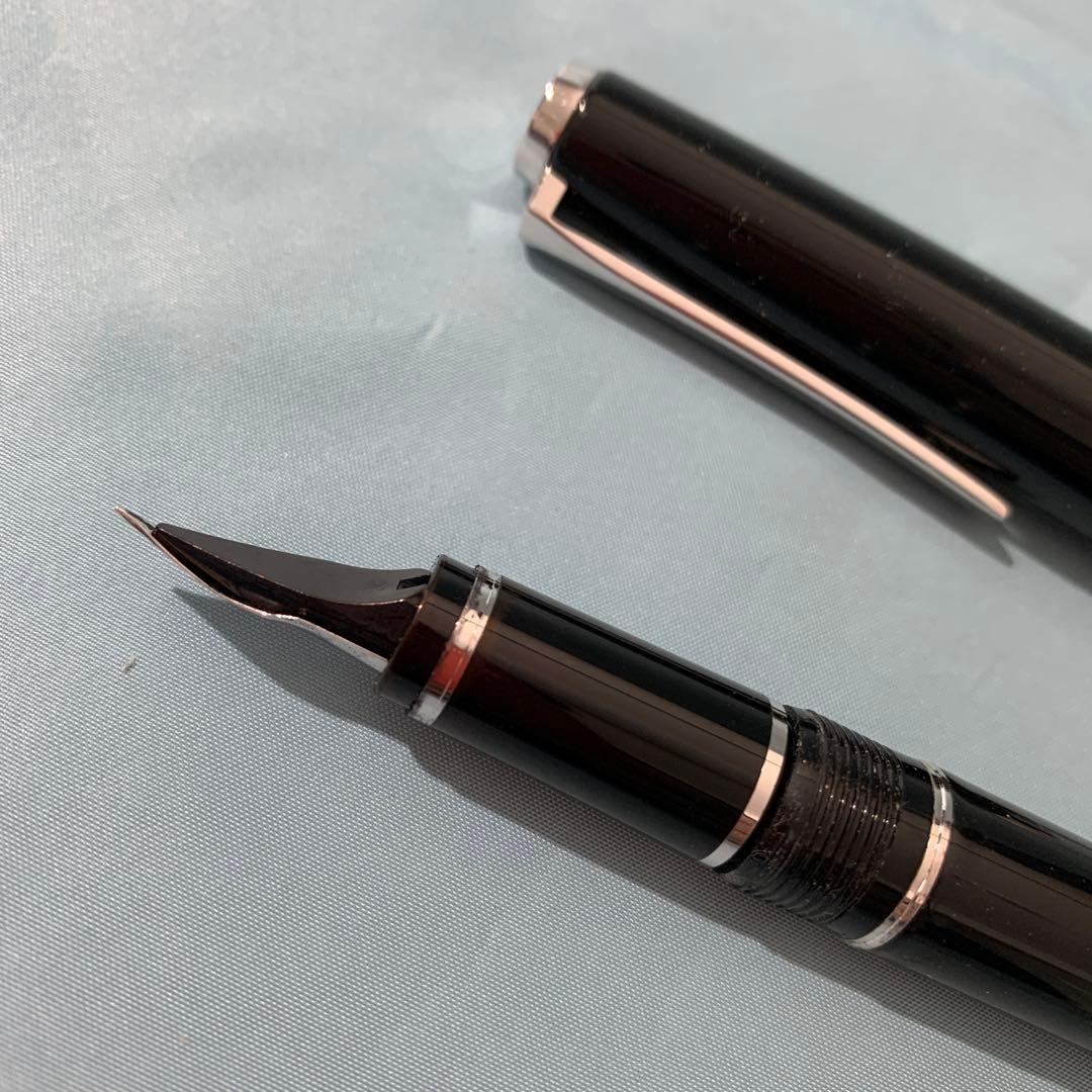 PILOT 万年筆 エラボー 極細字軟SEF FE-25SR-BSEF