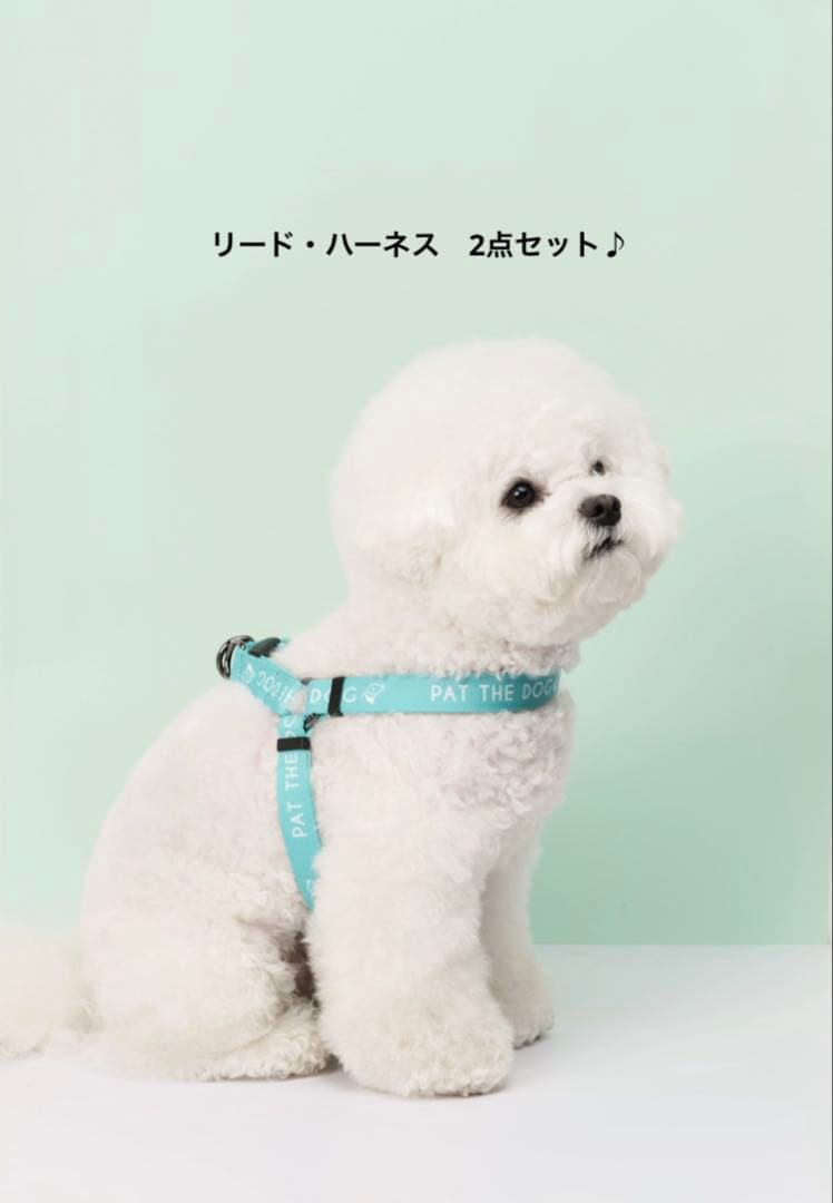 PAT THE DOG リード　ハーネス　2点セット　ティファニーブルー　犬