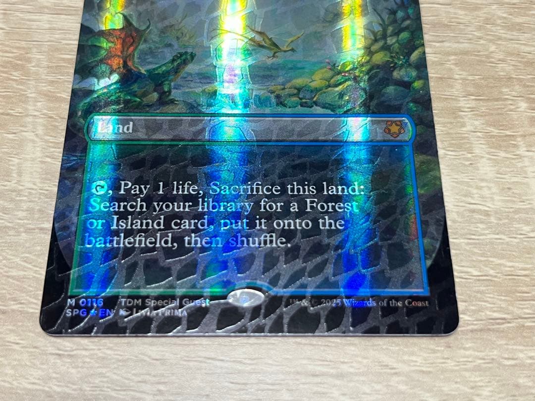 MTG タルキール　霧深い雨林　ドラゴンスケイル・Foil 英語　ボーダーレス