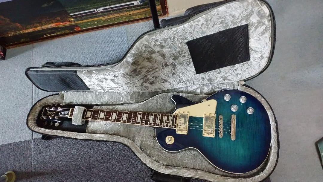 Epiphone Les Paul Standard Pro ギグバック付き
