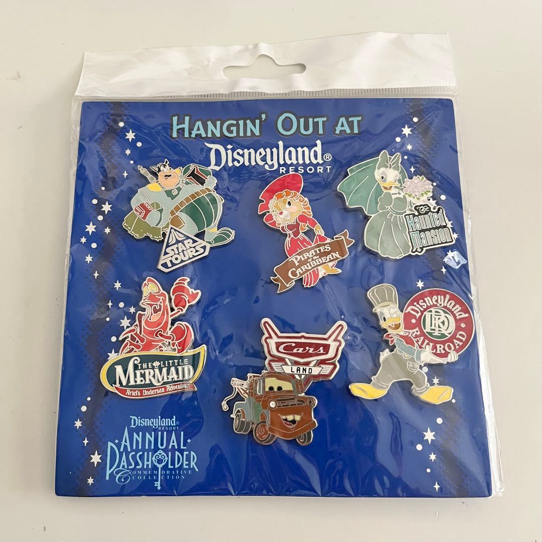 【レア】　ディズニーランドリゾート　ピンバッジ　年パス所有者限定