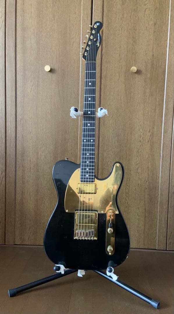 MOON PGM テレキャスター カスタムコンポーネント製 エレキギター