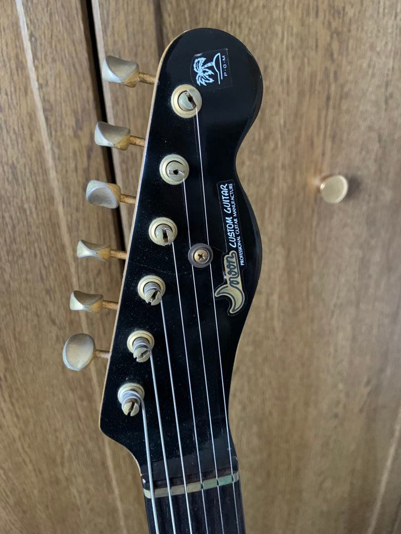 MOON PGM テレキャスター カスタムコンポーネント製 エレキギター