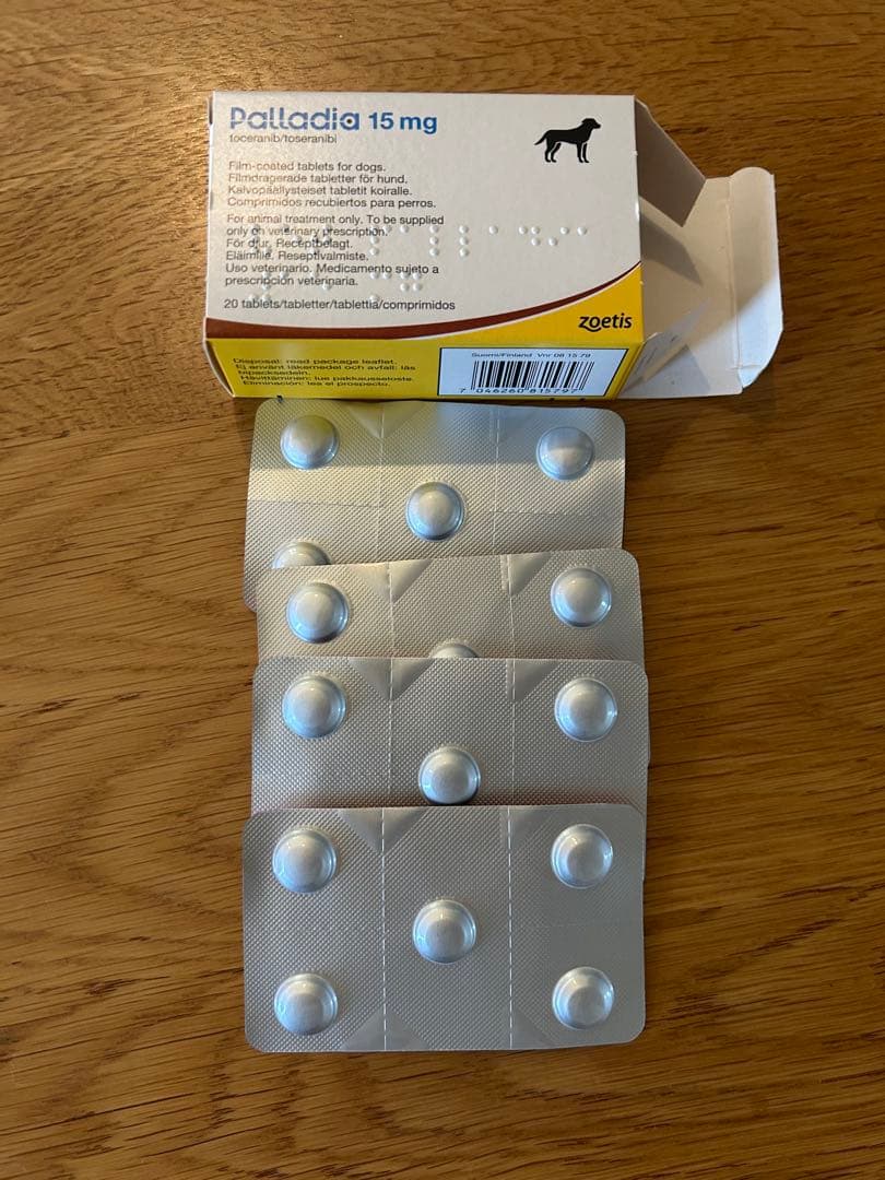 パラディア錠　未使用　20錠