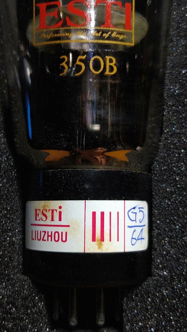 350B／6L6G.２本組、中国製