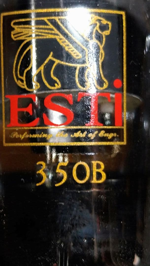 350B／6L6G.２本組、中国製