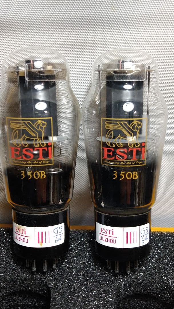 350B／6L6G.２本組、中国製